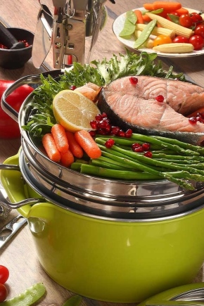  Steamer pour cuisinière à gaz