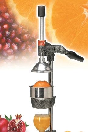  Top citrus juicer rating