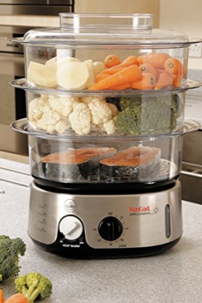  Steamer Tefal and all its models