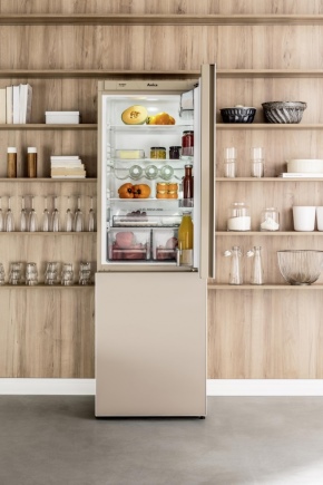  Hansa réfrigérateur