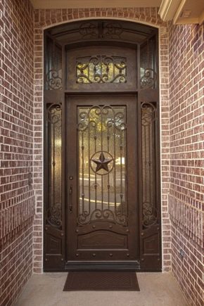  Metalltüren mit Glas