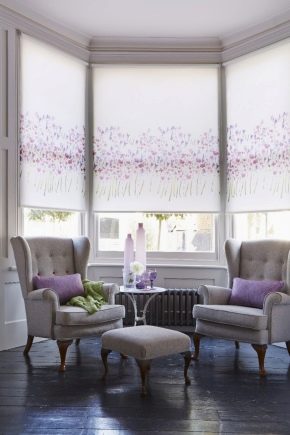  Blinds on plastic windows