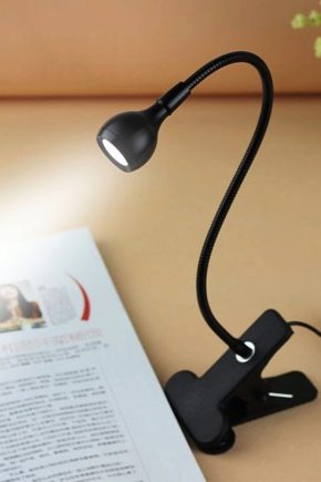  The lamp on the clothespin