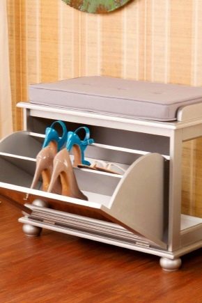  Choosing an ottoman in the hallway with a box for shoes