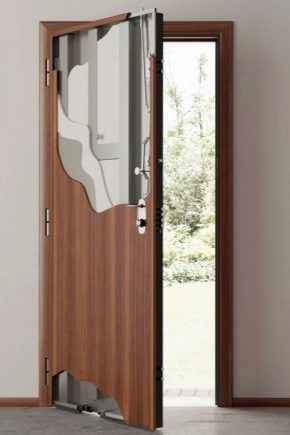  Vzlomostoykie Eingangstüren