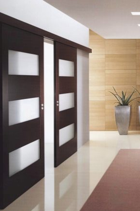 Coupe doors: how to choose?