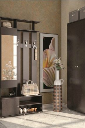 Stilvolle Möbel für den Flur im Innenraum