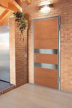  Eingangstüren aus Metall zur Wohnung