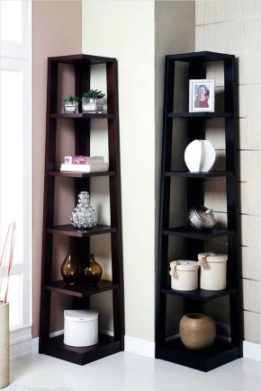  Wir wählen und arrangieren bequeme Regale im Flur