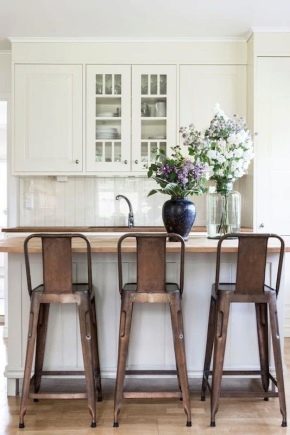   Bar stools with backrest: features of choice