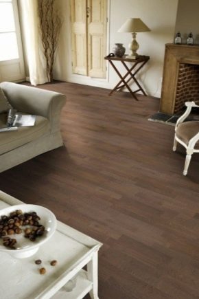  Avantages et inconvénients du stratifié Egger