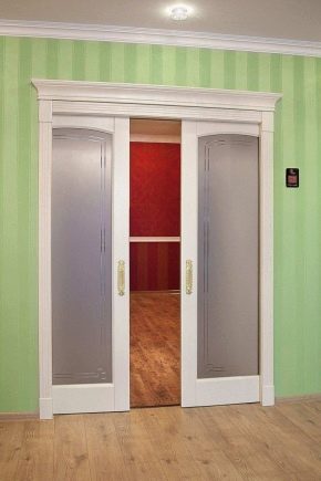 Wie mache ich eine Abteiltür mit eigenen Händen?