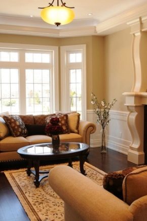  Surface du salon design de 17 mètres carrés. m: règles de planification et de zonage de la salle