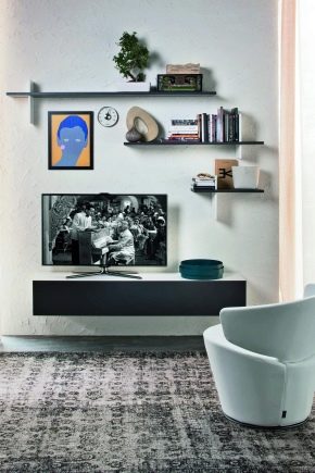  Furniture for TV in the living room: design features