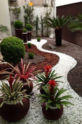  Features clearance tracks in the country