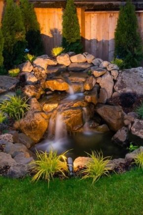  Étang dans le pays: variétés et technologie à faire soi-même