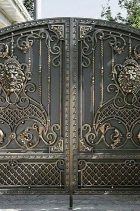  Gate: features of choice