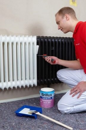 Criteria for choosing paint for metal