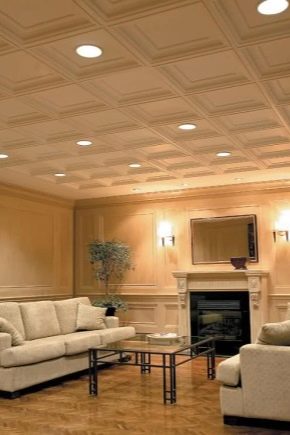  Dalles de plafond: caractéristiques et variétés
