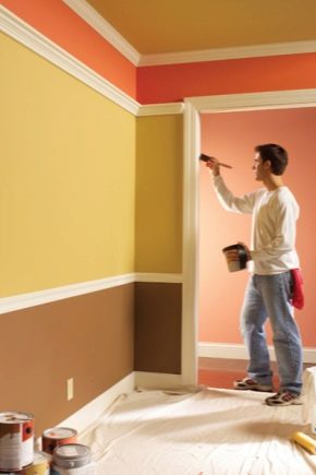 Silicone paint: the subtleties of choice