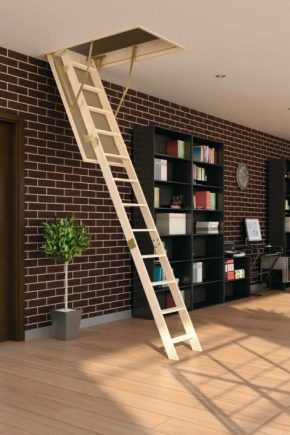  Fakro: le pour et le contre