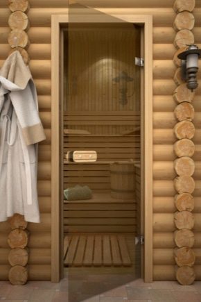  How to choose glass doors for a bath?