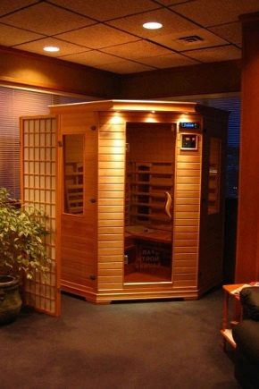  Die Feinheiten des Designs der Sauna in der Wohnung