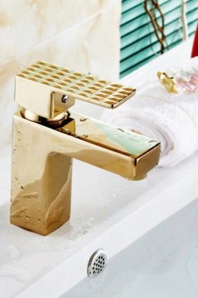  Mélangeurs de pommes de terre: caractéristiques distinctives