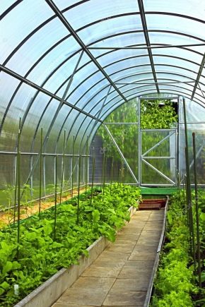  Comment faire une serre?