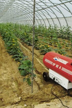  Chauffage des serres: options et caractéristiques