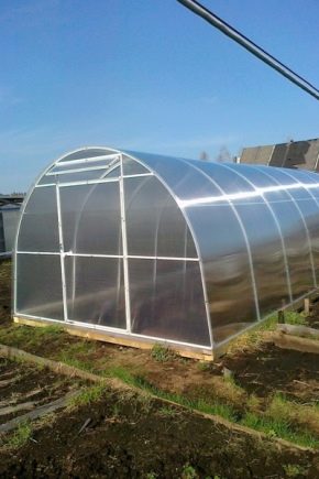  Greenhouse Nurse-Goodie: avantages et inconvénients