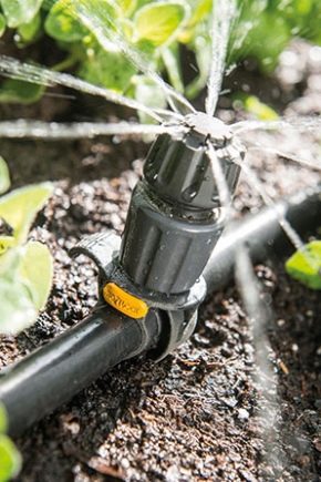  Restauration automatique dans la serre: caractéristiques et types