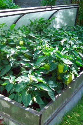  Comment construire une serre Breadbox?