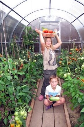 Quel polycarbonate est préférable de choisir pour la serre?