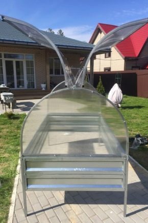  Papillon de serre: avantages et inconvénients