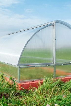  Greenhouse Breadbox: qu'est-ce que c'est, avantages et inconvénients