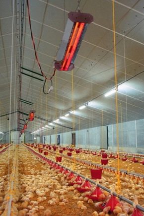  Types de radiateurs infrarouges pour les serres