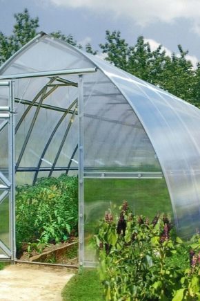  Serres renforcées: qu'est-ce qui fait la force?