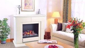  Cheminée décorative dans l'appartement