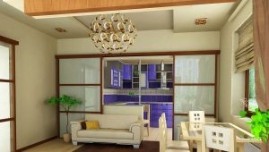  Petite cuisine-salon