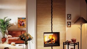  Doublure de cheminée moderne