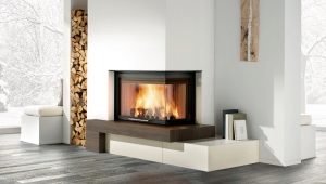  Coin cheminée à l'intérieur du salon