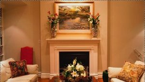  Appareil de cheminée