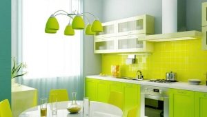  Hotte pour la cuisine avec un évent à la ventilation