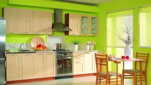  Papier peint vert dans la cuisine