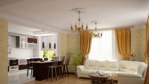  Conception de cuisine-salon