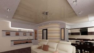  Cuisine-salon design de 25 mètres carrés. m