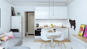  Studio de design de 23 mètres carrés. m