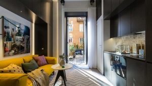  Studio de design de 29 mètres carrés. avec balcon