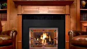  Portes de cheminée - la garantie esthétique de votre sécurité